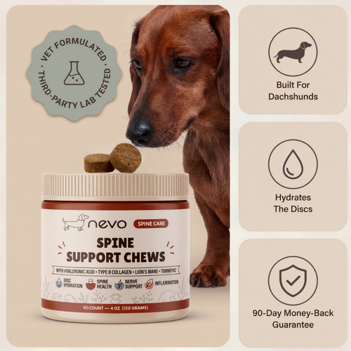 Nevo Spine Support Chews