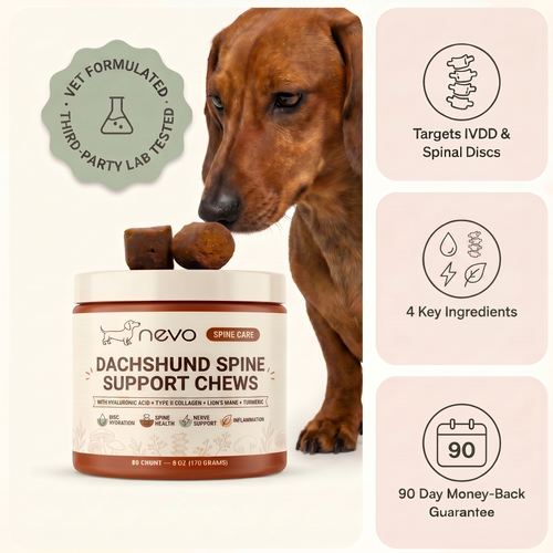 Nevo IVDD Spine Defense Chews USA