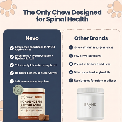Nevo IVDD Spine Defense Chews USA